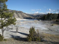 mammoth hot springs.JPG